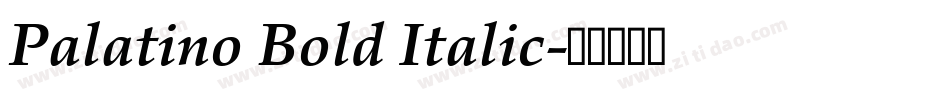 Palatino Bold Italic字体转换